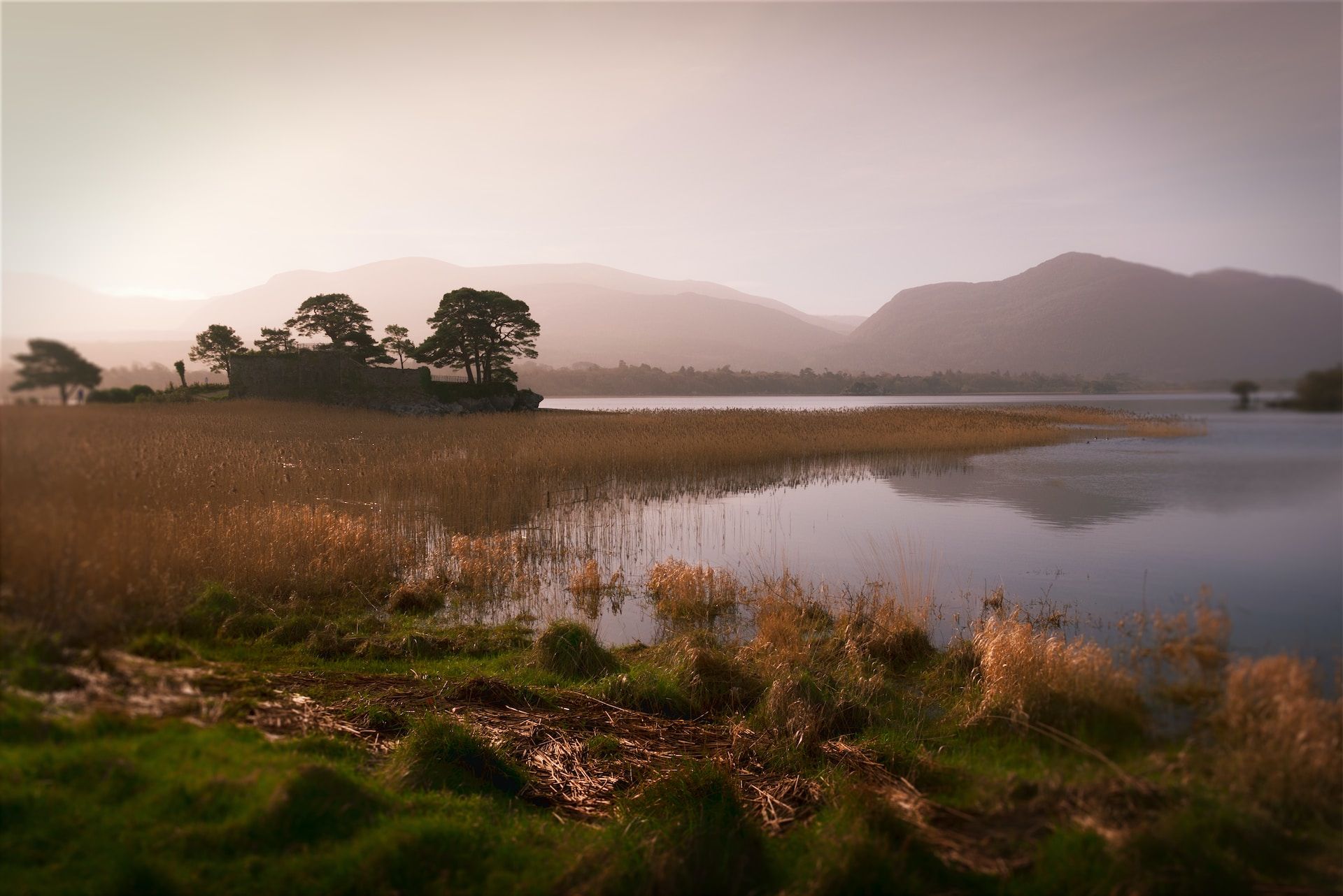An early morning view of the lakes of Killarney