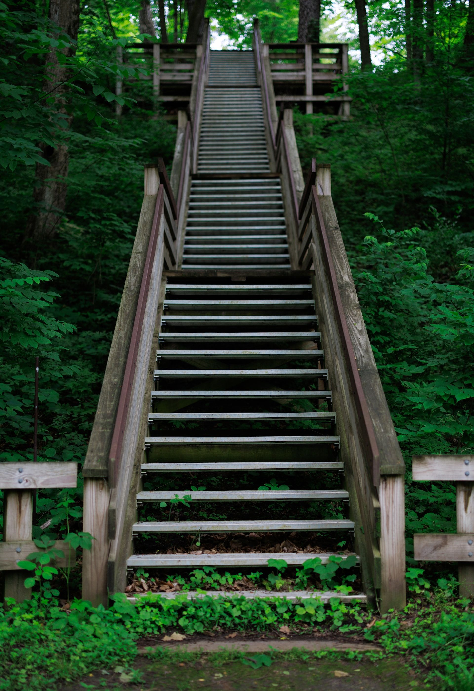 Wooden staircase in White Pines Forest State Park