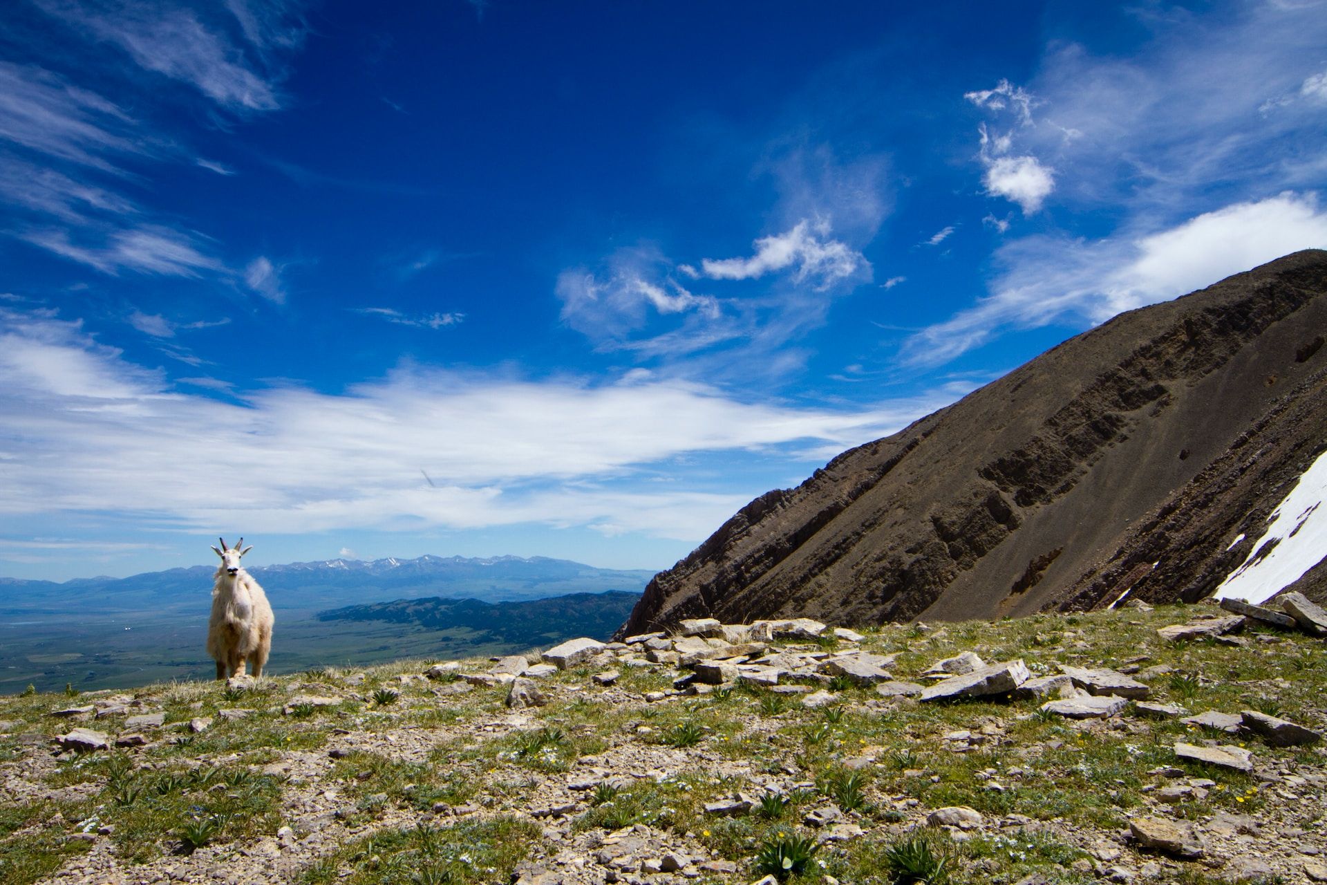 montana-s-most-scenic-10-mountain-ranges-worth-seeing-in-your-lifetime