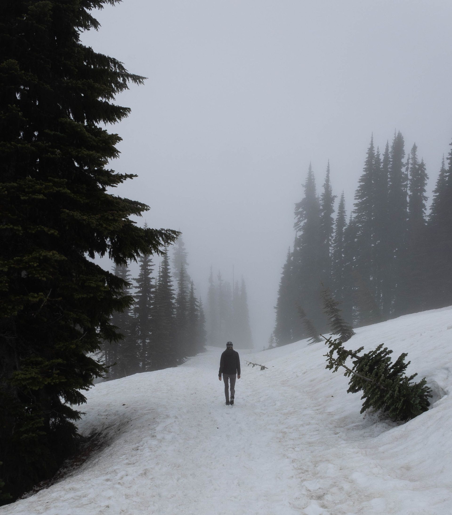 Person walking on a snowy path in Mt Rainier National Park