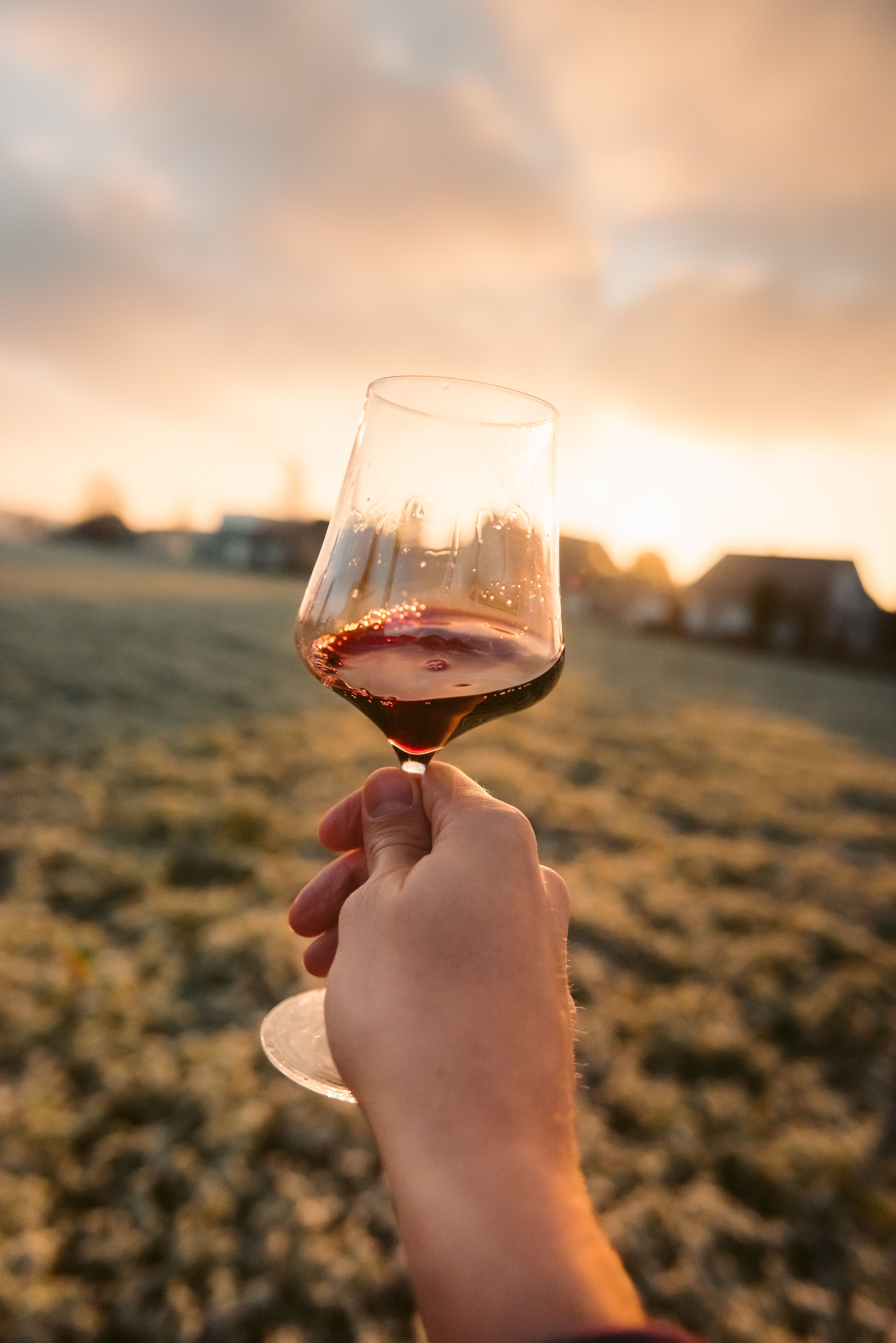 Hand holding a long stem glass of red wine in front of the sunset 