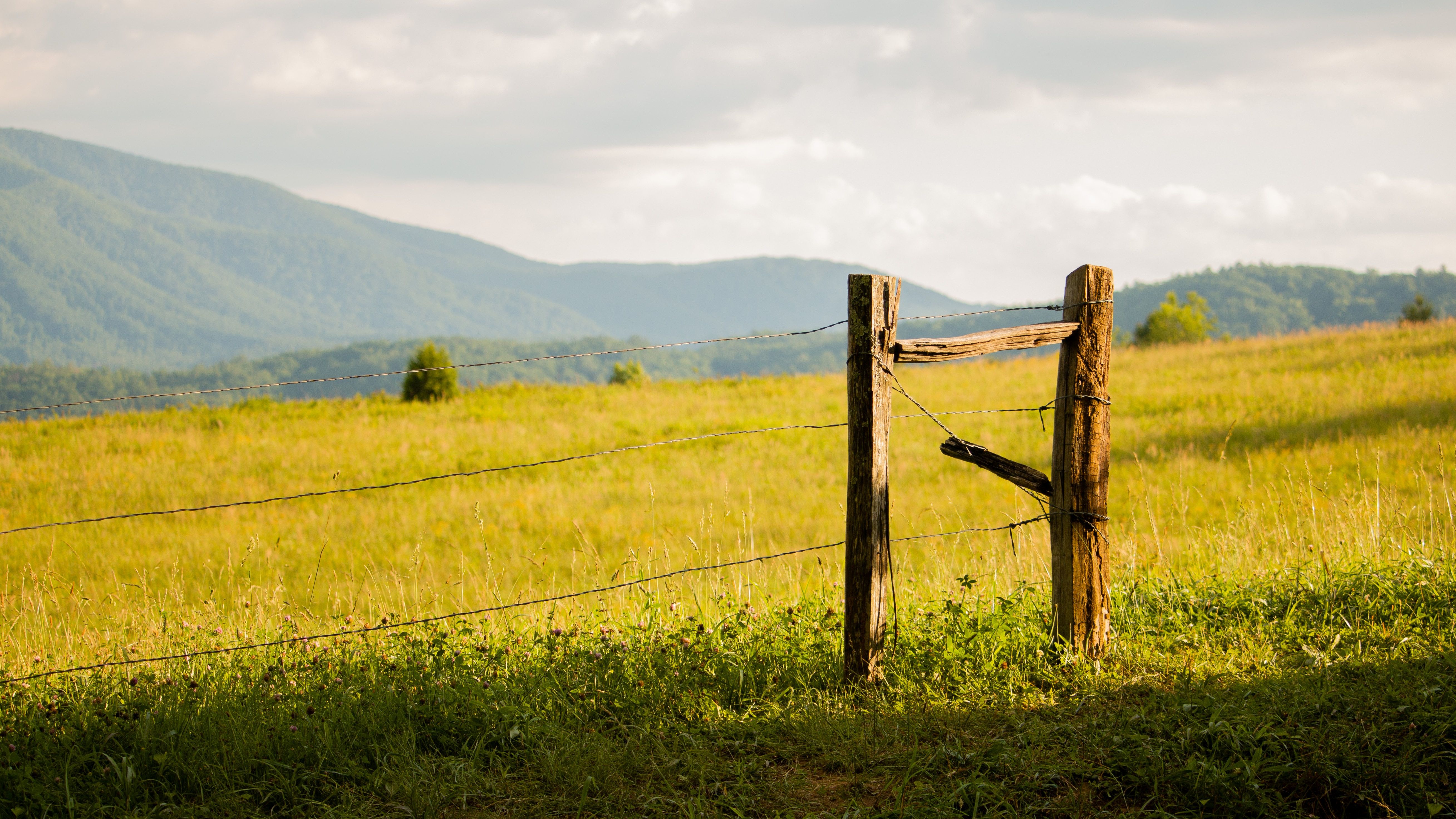 A grassy field with a fence at Cades Cove in Tennessee, USA