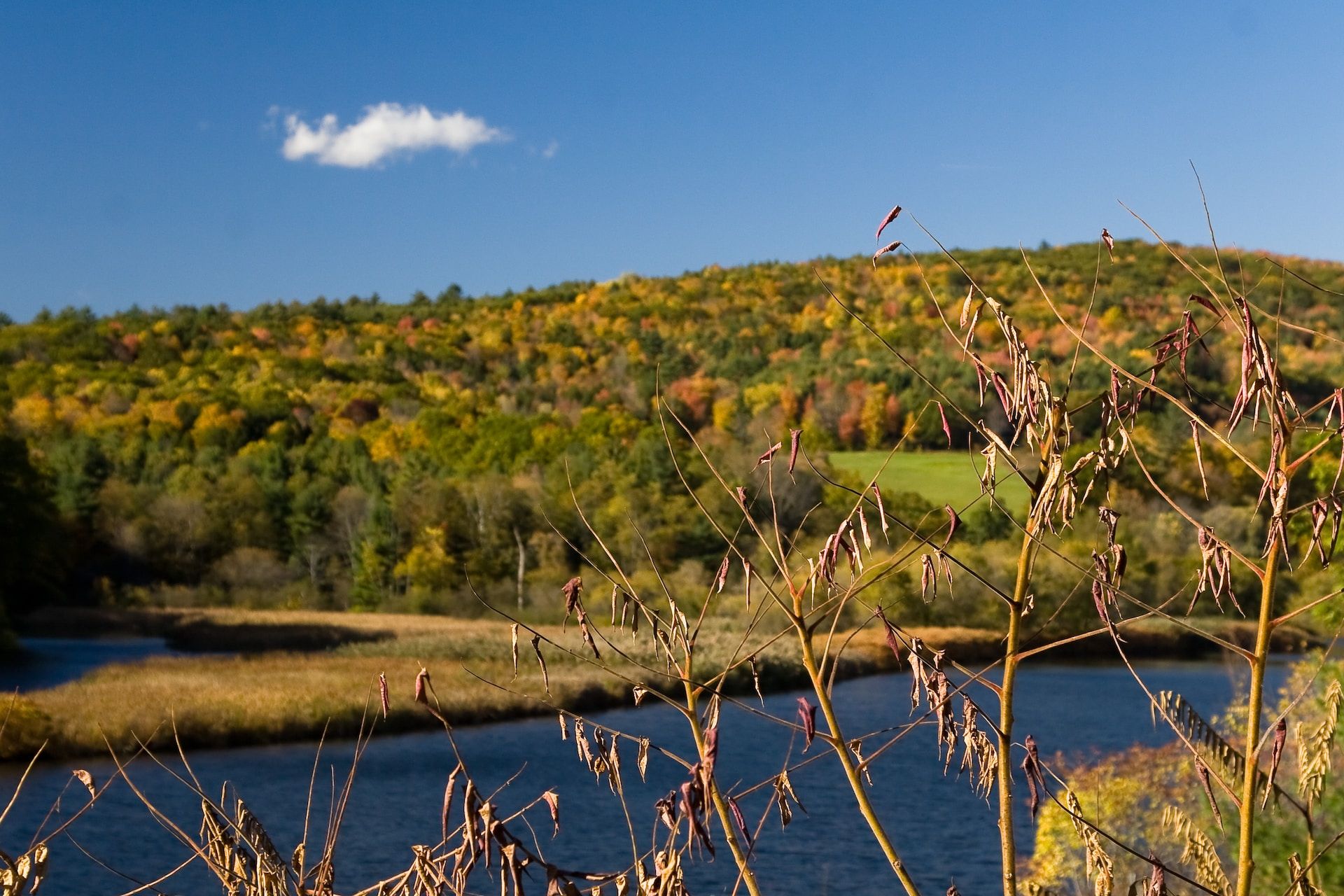 A region in Vermont with vibrant fall colors and a body of water under a blue sky 