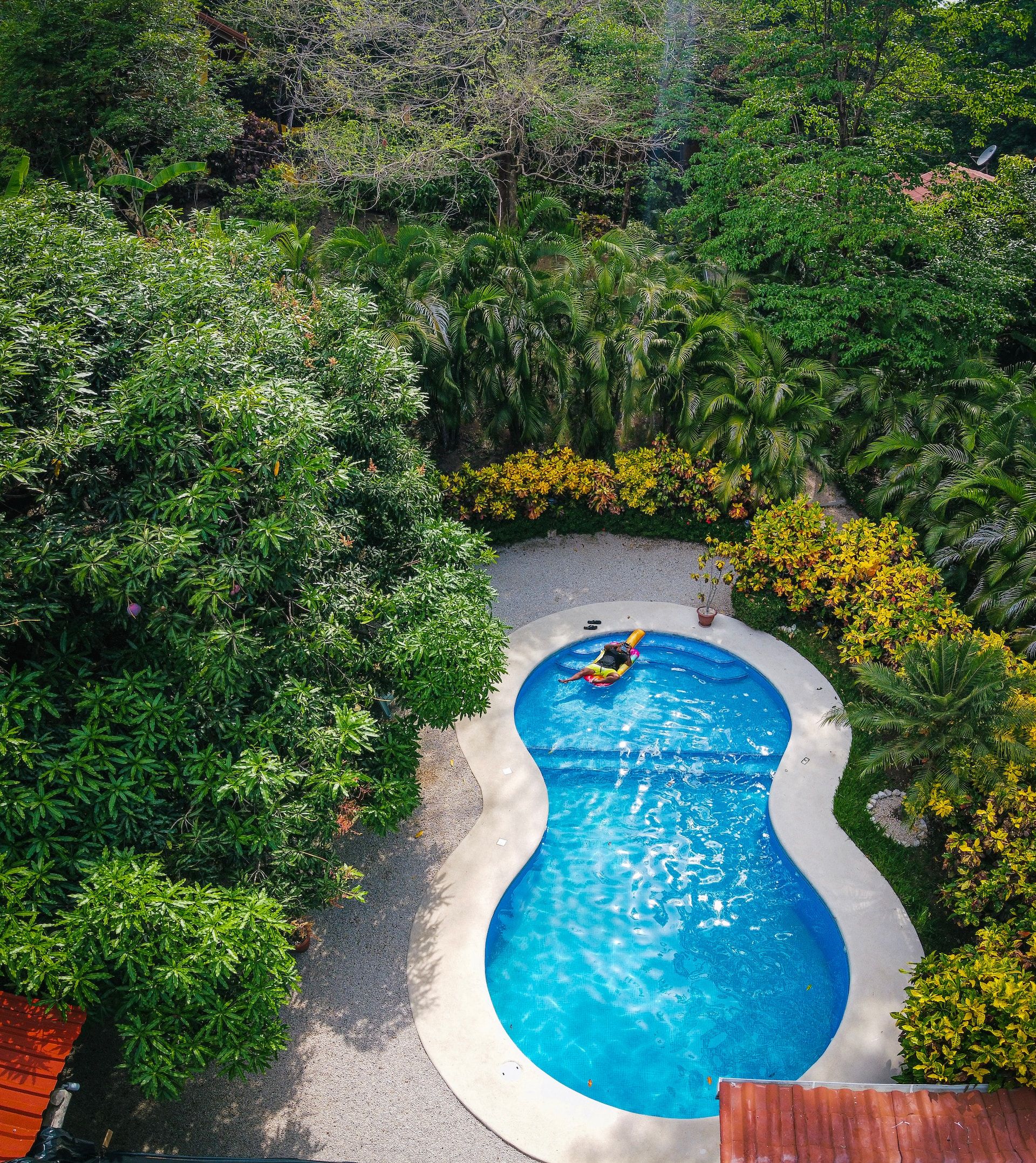 A traveler enjoys a pool in a luxury Costa Rica rainforest resort