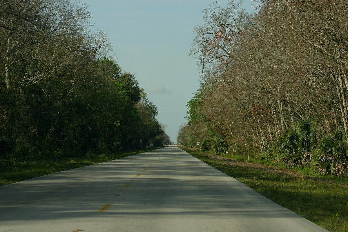 A road through Okeechobee County, Florida