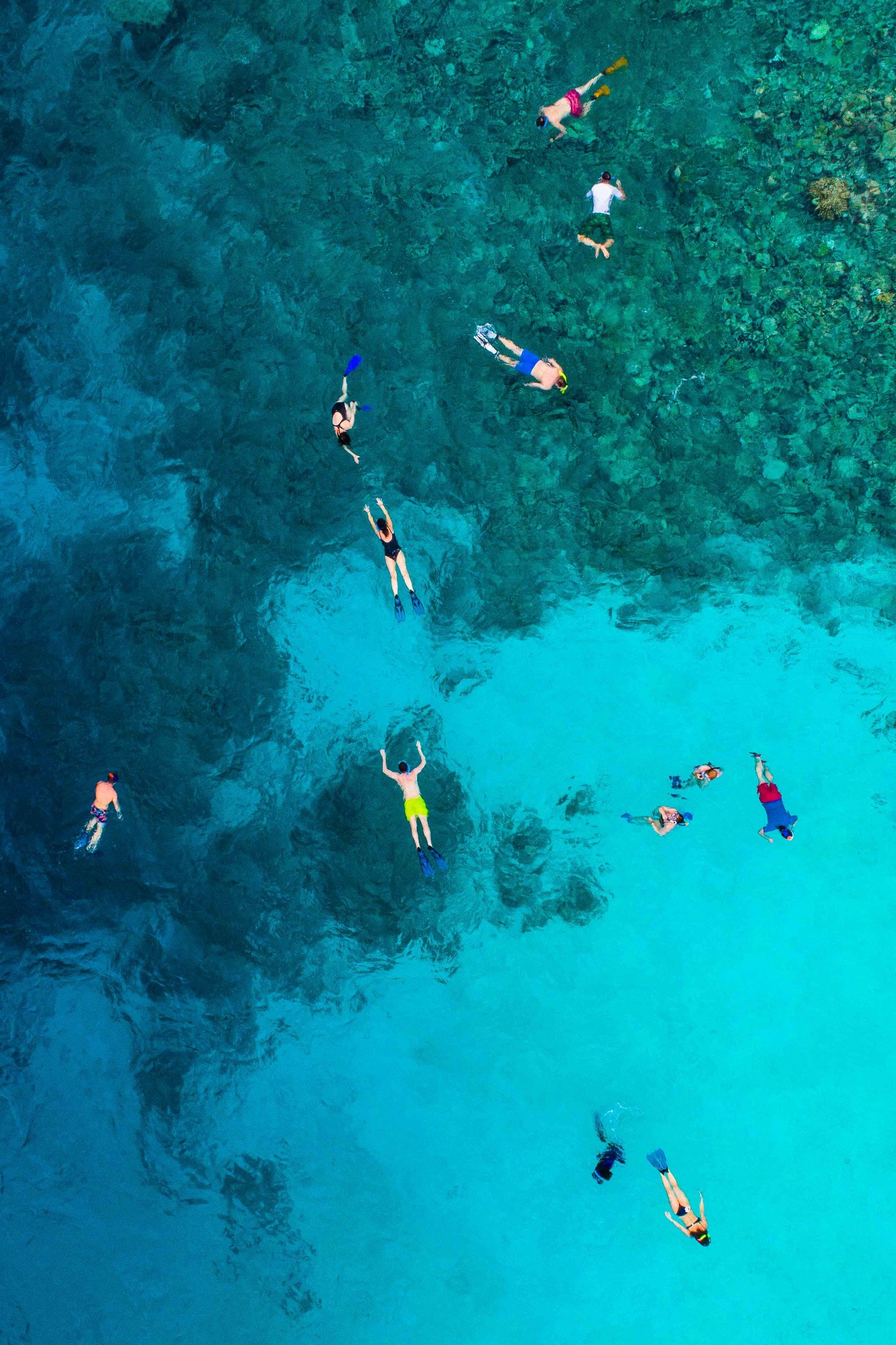 Aerial view of tourists snorkeling in a beach in Maldives 