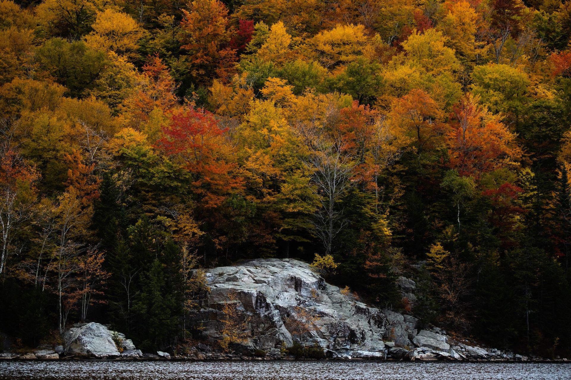 10 Most Affordable Towns To Visit In New England During The Fall   Radu Lin Bbipey0hfng Unsplash 