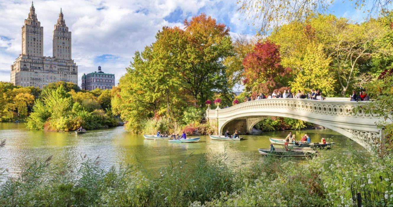 Beautiful fall foliage colors beginning to emerge in Central Park in New York City, USA