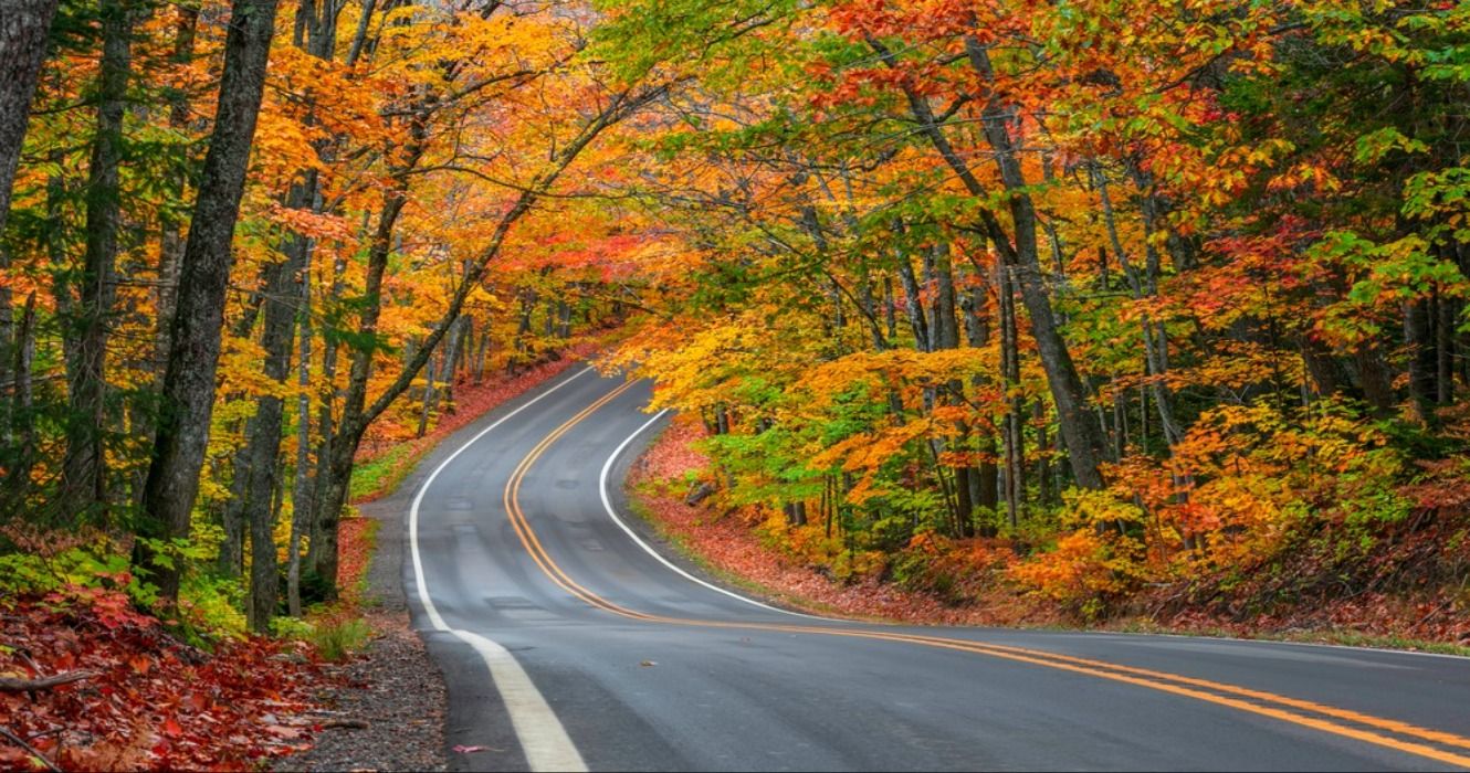 A tunnel of trees showing fall colors along scenic byway M41 in Keweenaw peninsula in Michigan's upper peninsula, USA