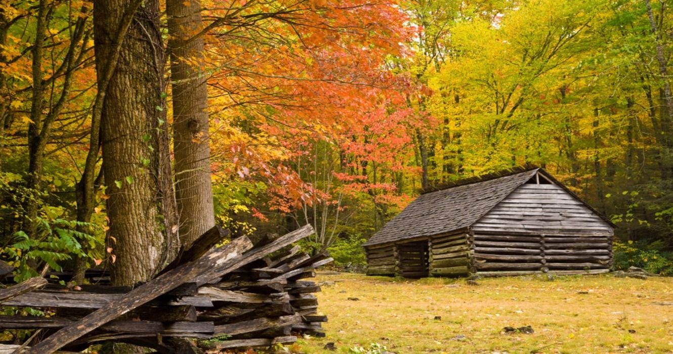 A historic log barn in a hardwood forest in the fall in Great Smoky Mountains National Park, Tennessee, USA
