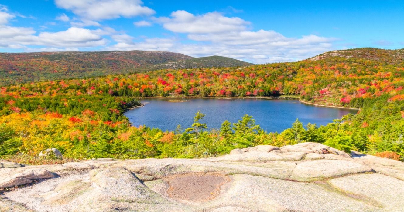 Fall foliage on the Beehive Trail in Acadia National Park, Maine, USA