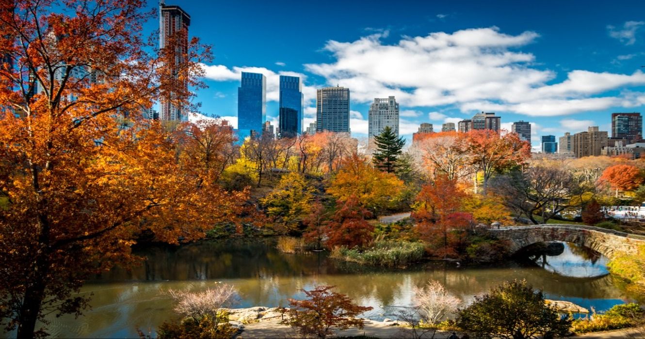 A view of fall foiage in Central Park in Manhattan and the New York City skyline in the fall, New York, USA