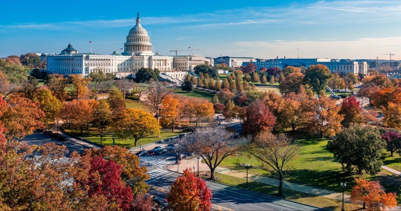 A view of fall foliage at Capitol Hill in Washington DC in the autumn, Washington D.C., USA