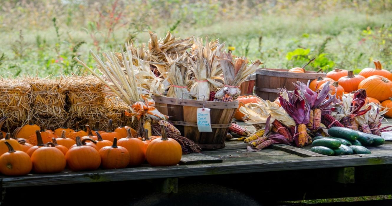 Fall harvest with pumkins and vegetables in Indiana, USA