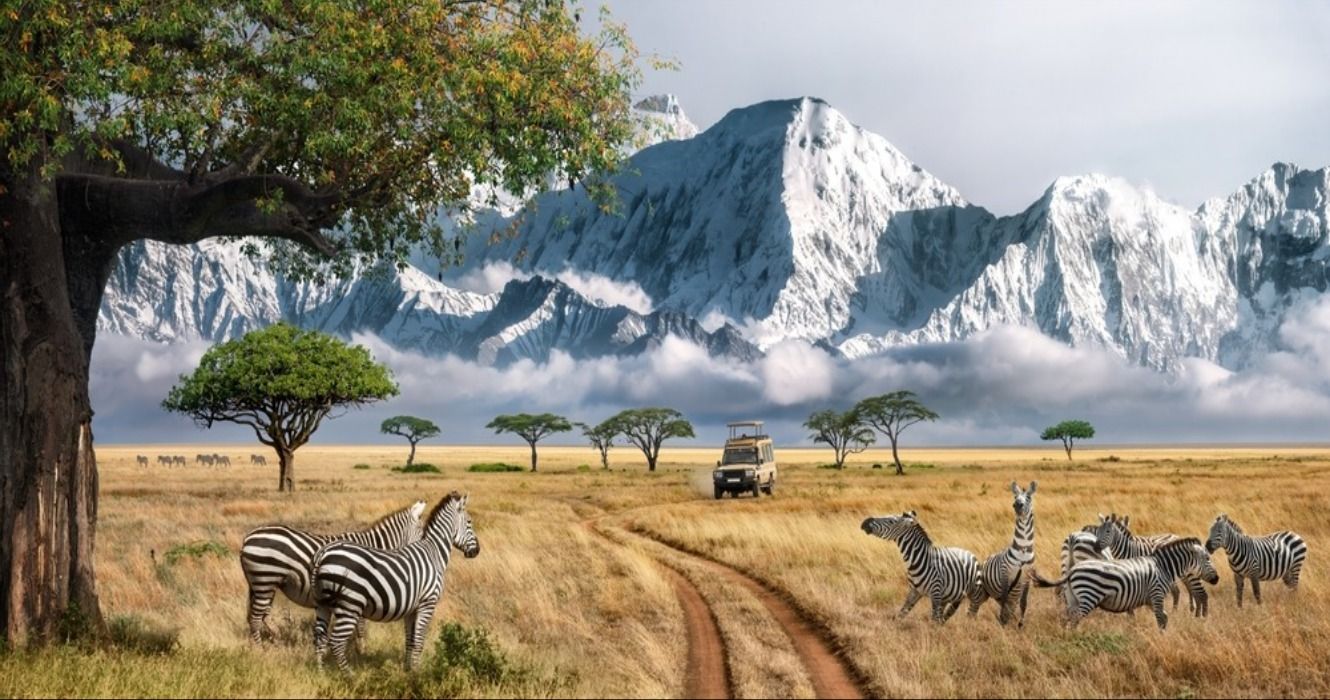 A wildlife safari in Africa, with zebras grazing on the plains