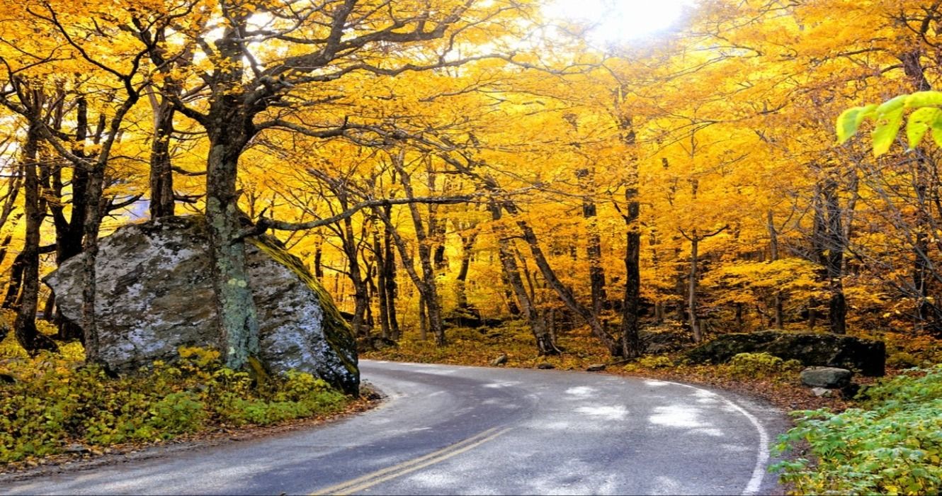 Autumn colors and fall foliage along Smugglers' Notch road, in Smugglers' Notch State Park, Vermont, USA