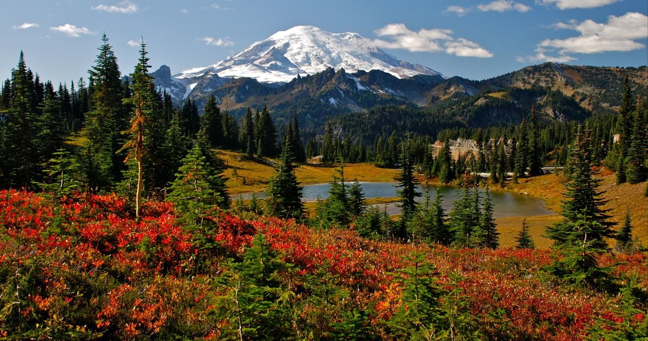 Autumn colors and fall foliage near Mount Rainier in Mt. Rainier National Park, Washington, USA