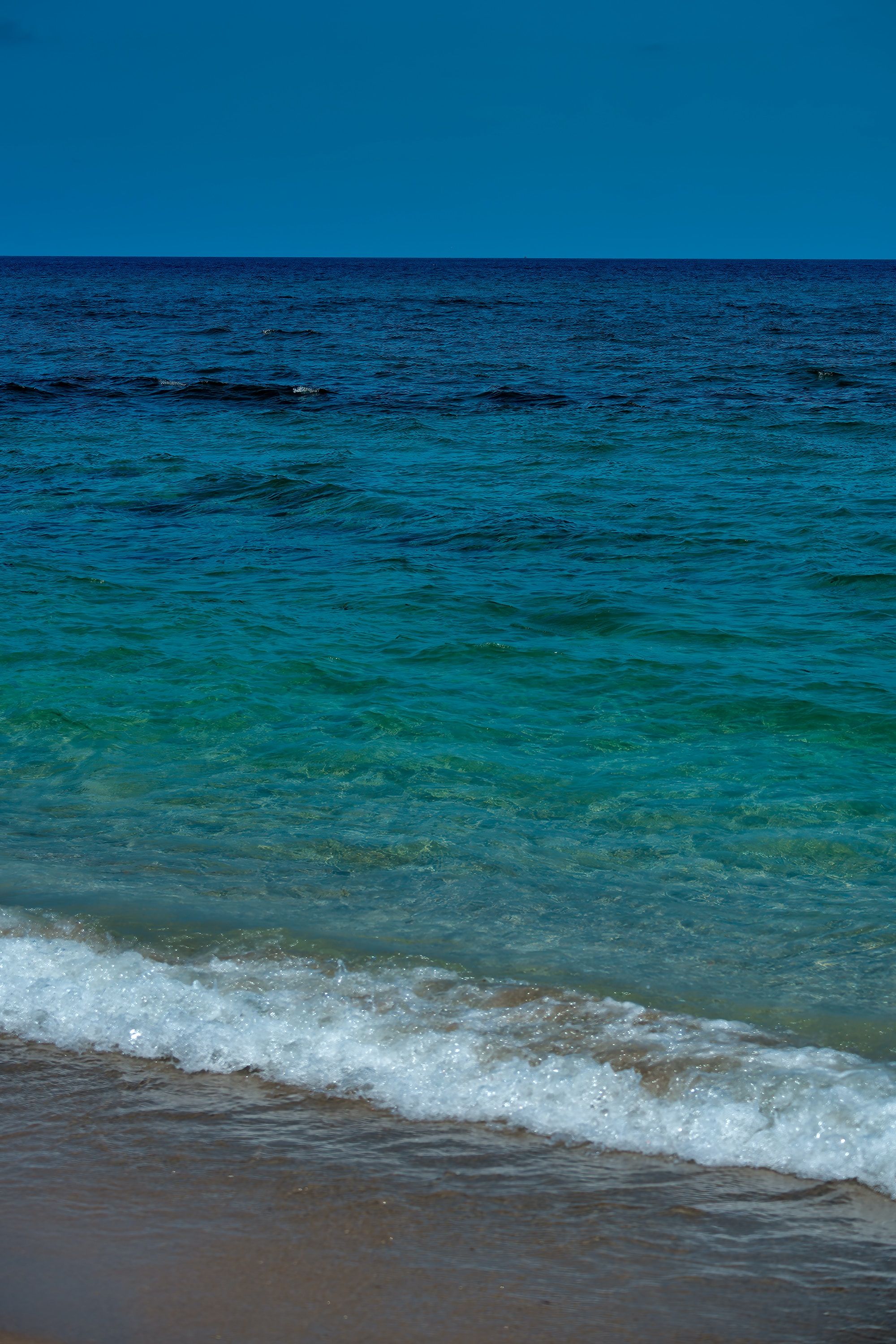 Here's Why This Florida Bridge Off Riviera Beach Is Home To The Best ...