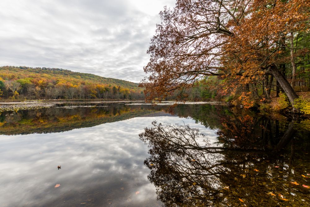Laurel Lake Recreational Area in Pine Grove Furnace State Park, Pennsylvania during the fall
