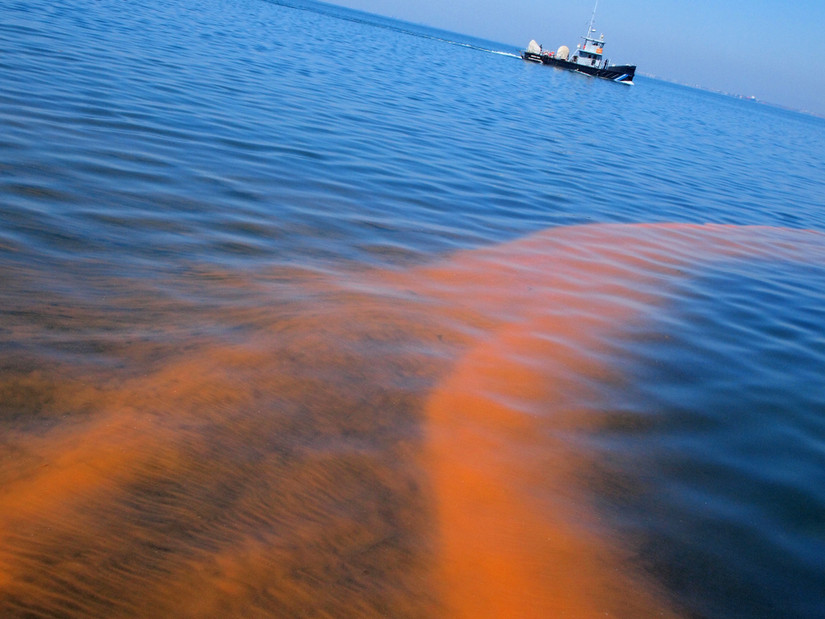 10 Truly Fascinating Underwater Phenomena (& How To See Them)