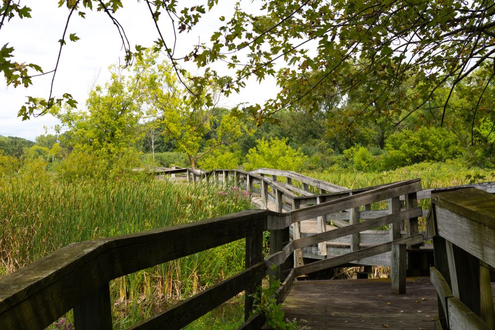 Wooden walkway in Rock Cut State Park, Illinois