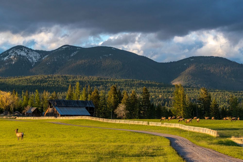 outskirts of Whitefish