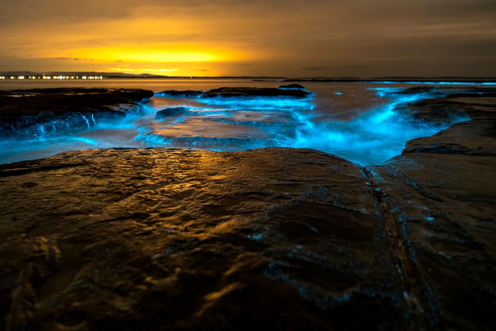 Bright blue bioluminescence at night at Jervis Bay, Australia