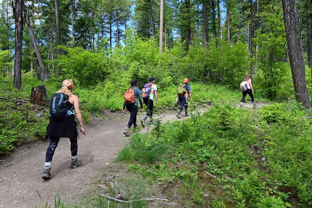 Lion Mountain Trail near Whitefish