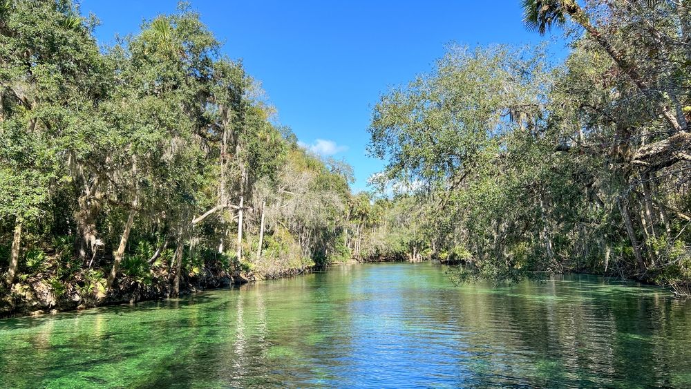 10 Best State Parks In Florida With Scenic Hikes