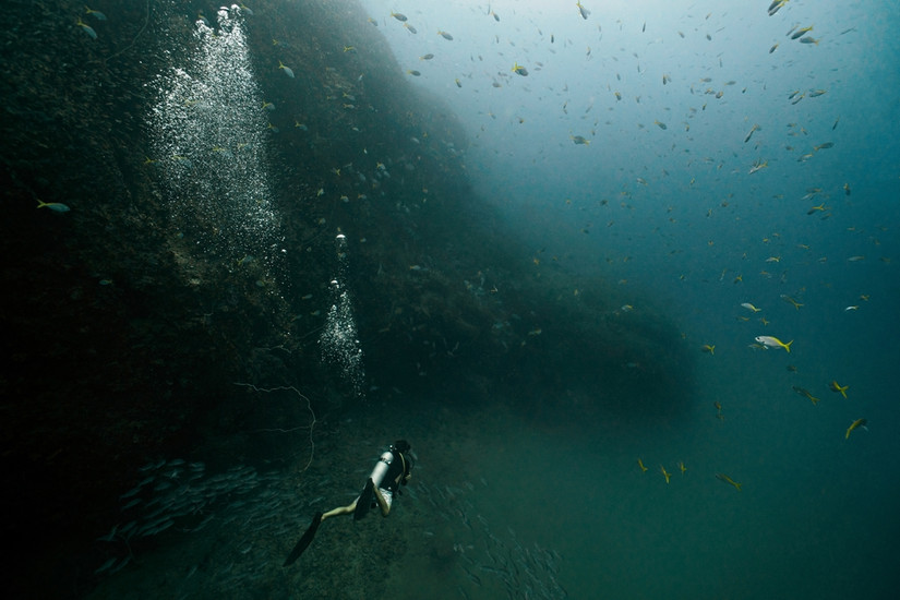 10 Truly Fascinating Underwater Phenomena (& How To See Them)