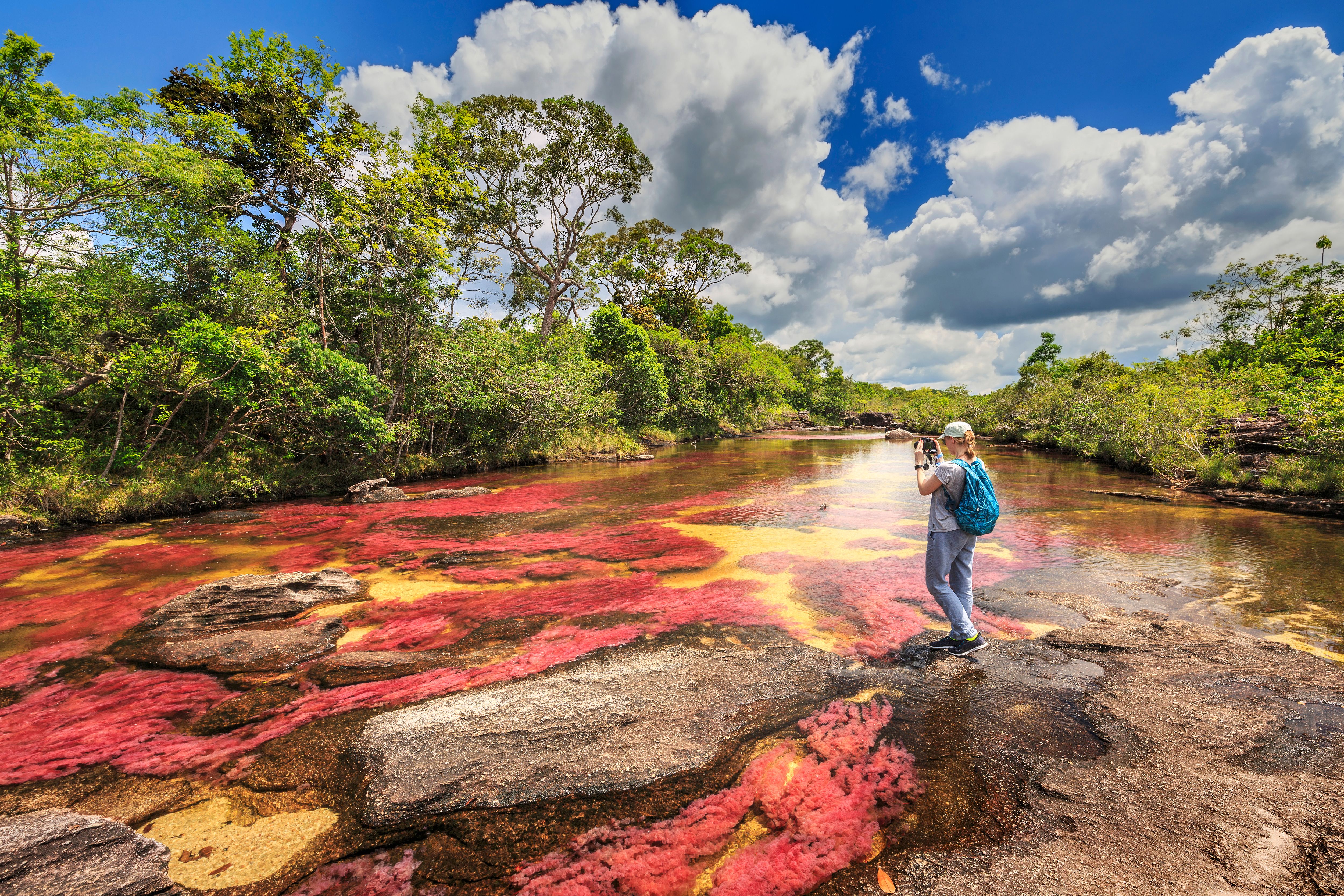 Caño Cristales in Colombia 