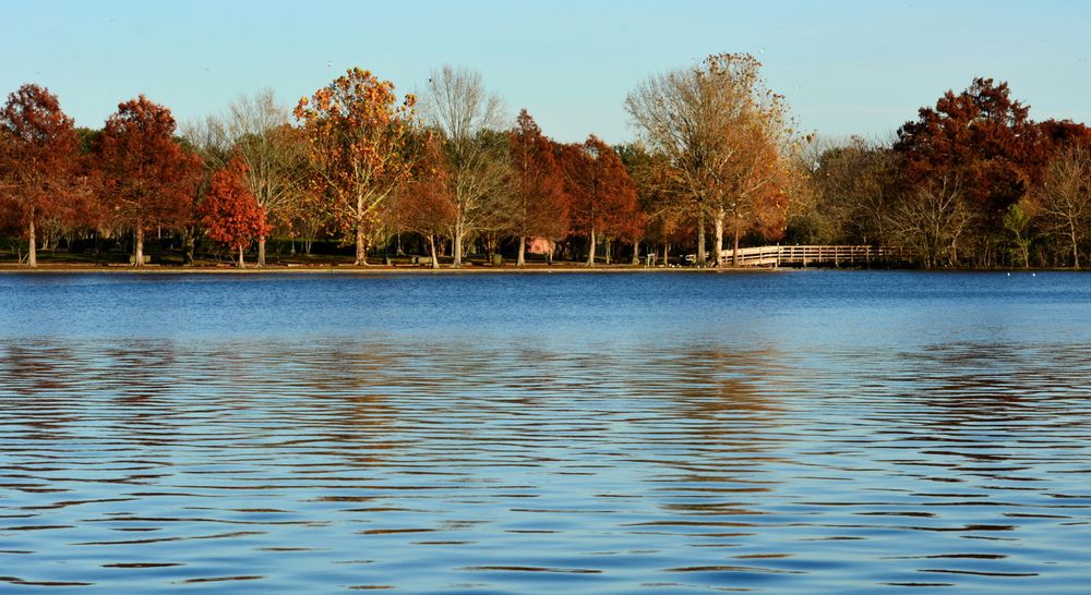 See The Best Of Louisiana Fall Foliage On This Scenic Road Trip