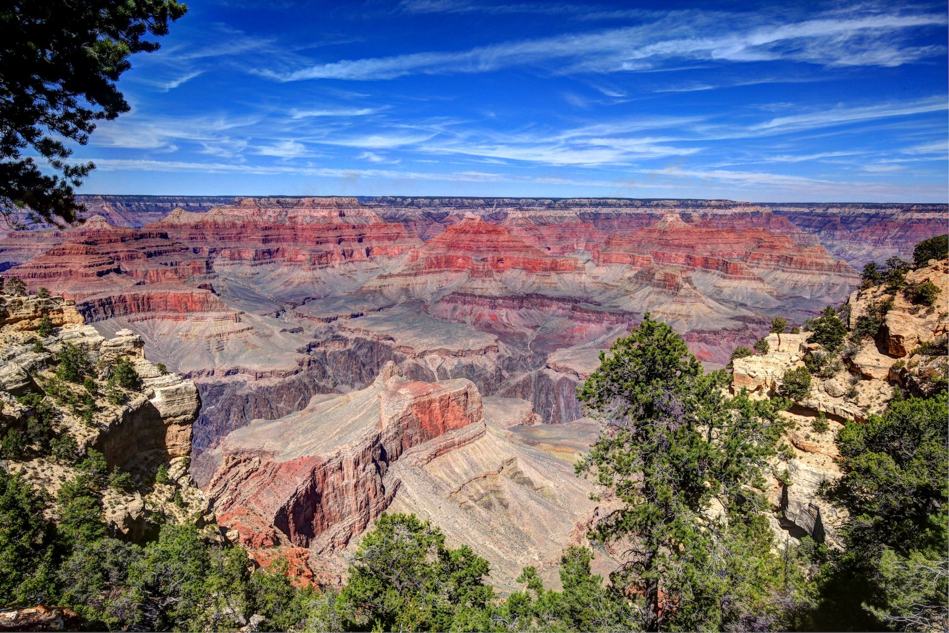 An amazing panoramic view of the foliage on the South Rim, Grand Canyon, Arizona, USA
