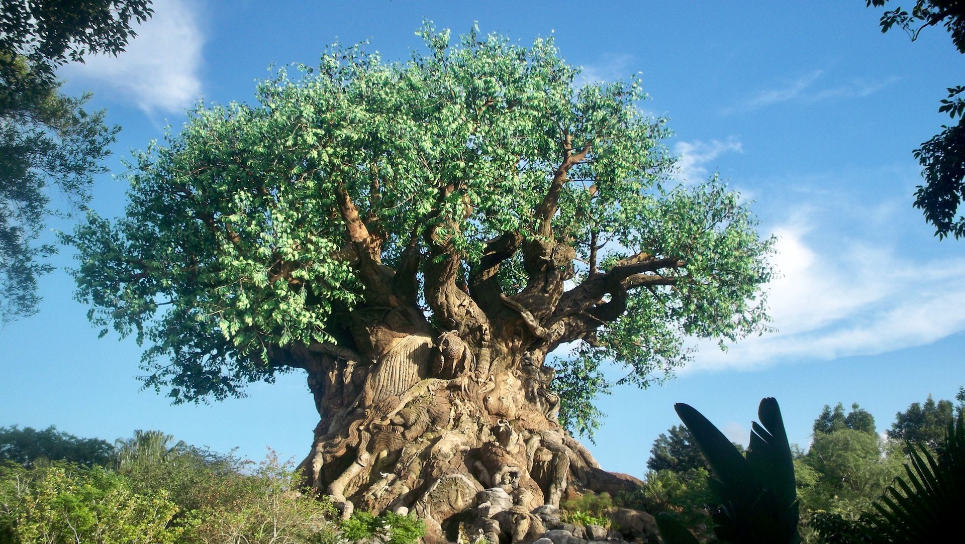 Centerpiece Carved Tree at Animal Kingdom, Walt Disney World Resort, Bay Lake, FL, USA
