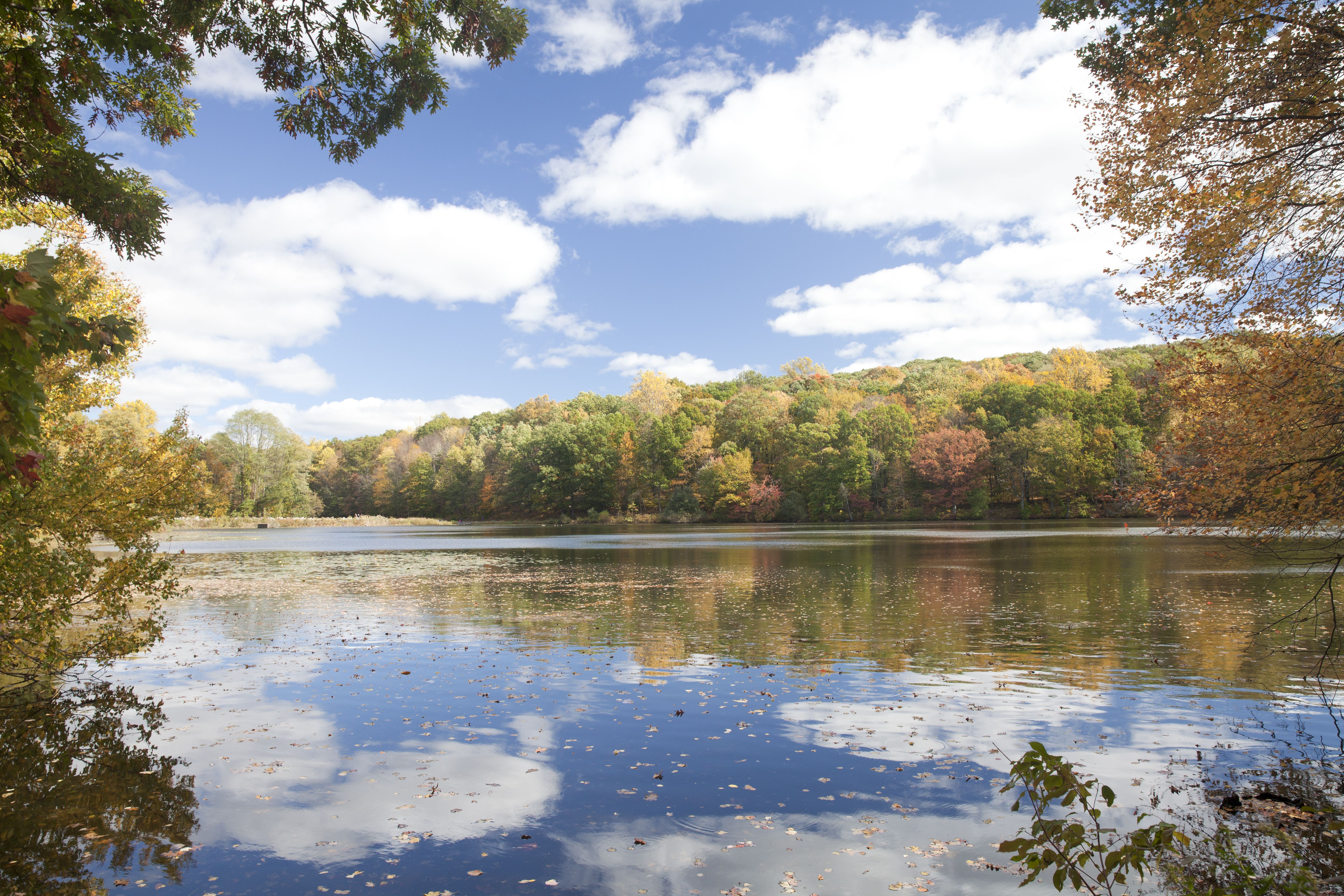 Rockefeller State Park Preserve's serene Swan Lake
