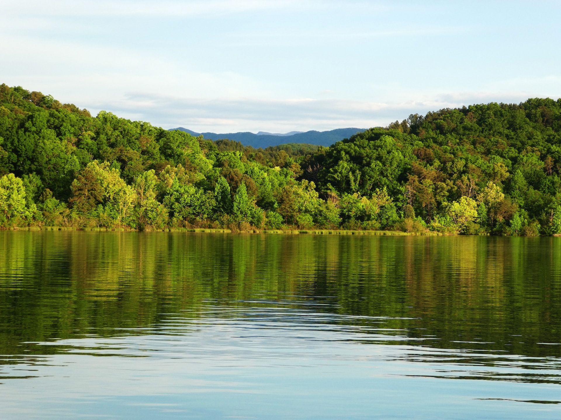 Tellico Lake surrounded by trees and mountains