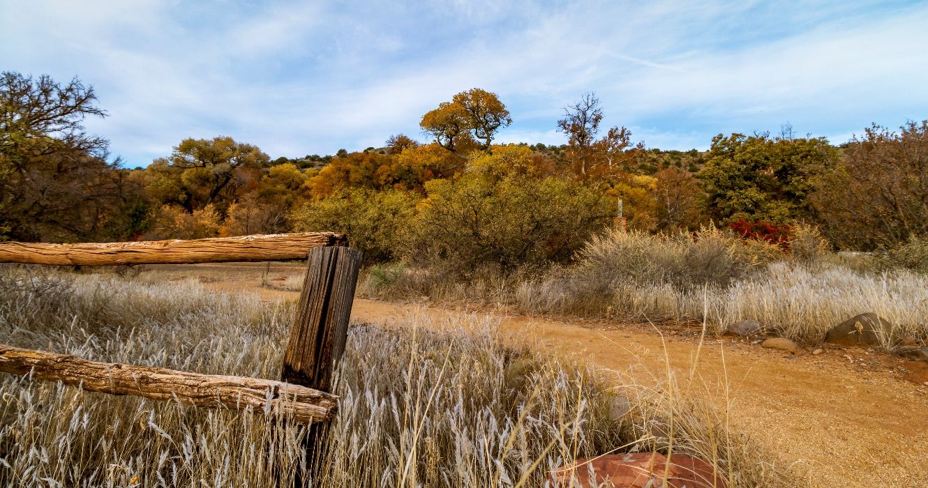 V Bar V Ranch Petroglyphs: What Makes This Unique Land The Best Place 