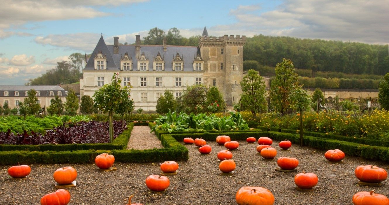 Villandry castle in the Loire Valley in Autumn, France