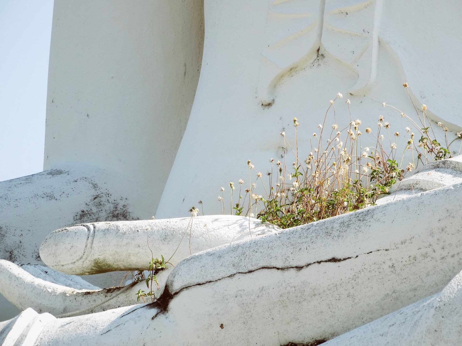 Weeds sprouting from a Buddha statue in Ayutthaya