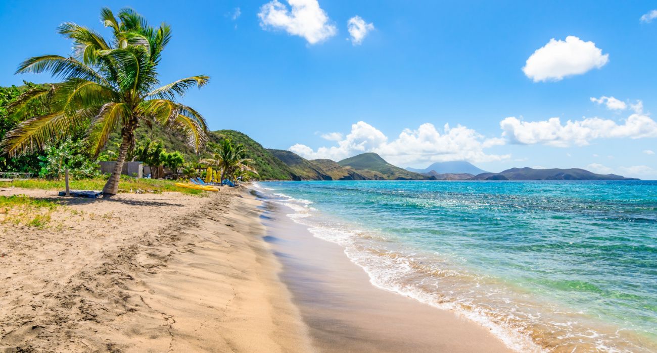 White sandy beach with palm tree in Saint Kitts