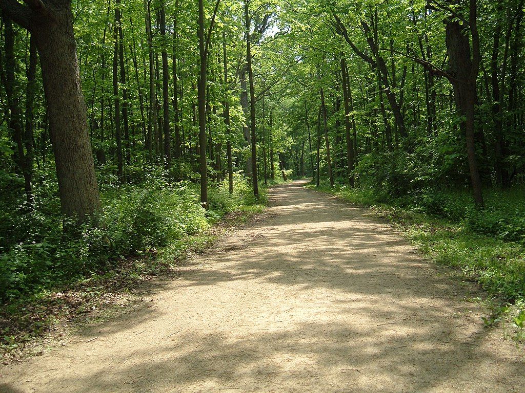 Des Plaines River Trail: Why This Rail Trail Is The Perfect Fall Bike Ride