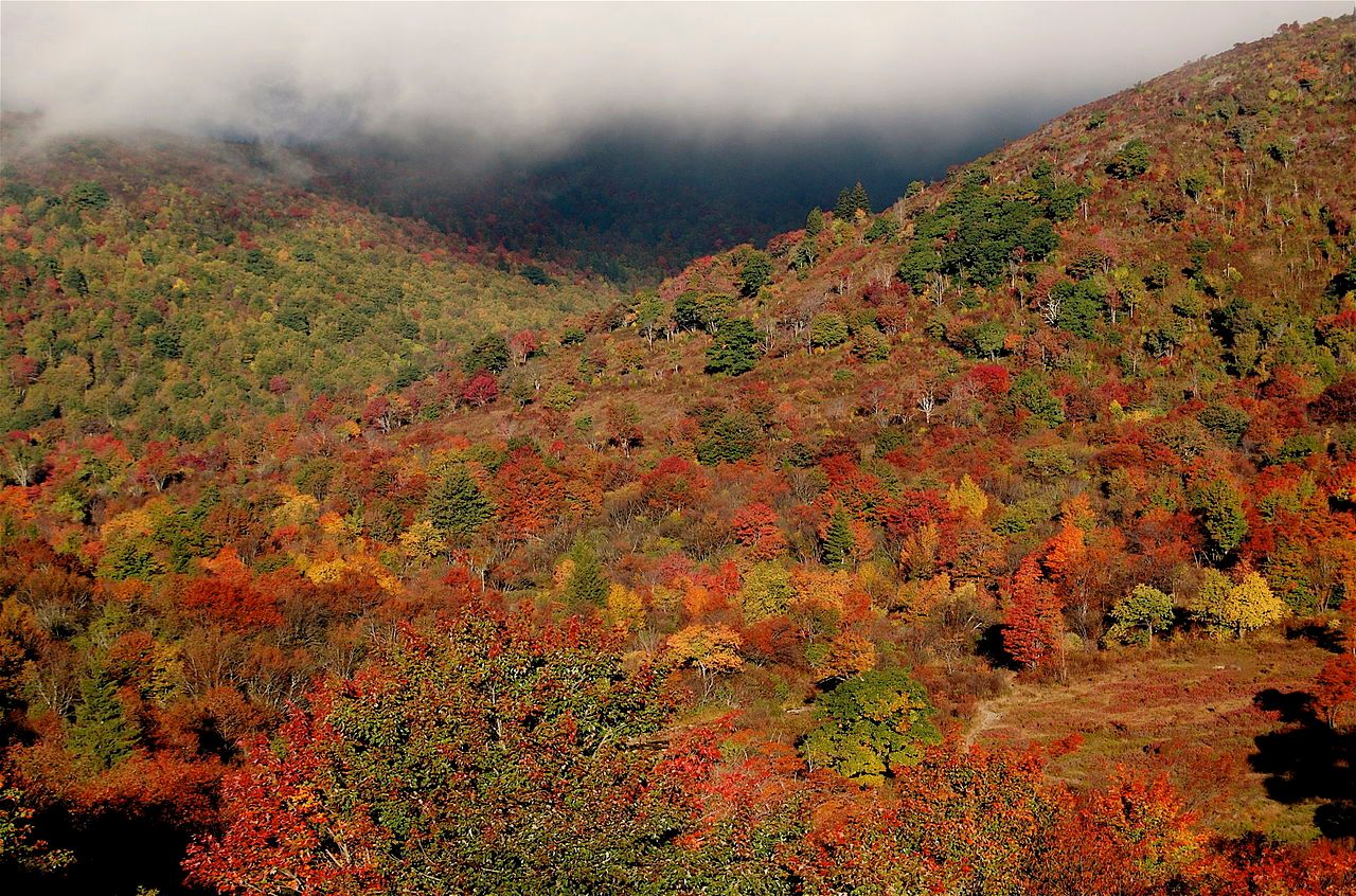 10 Most Beautiful Road Trips To Take For Fall Foliage In The U.S.