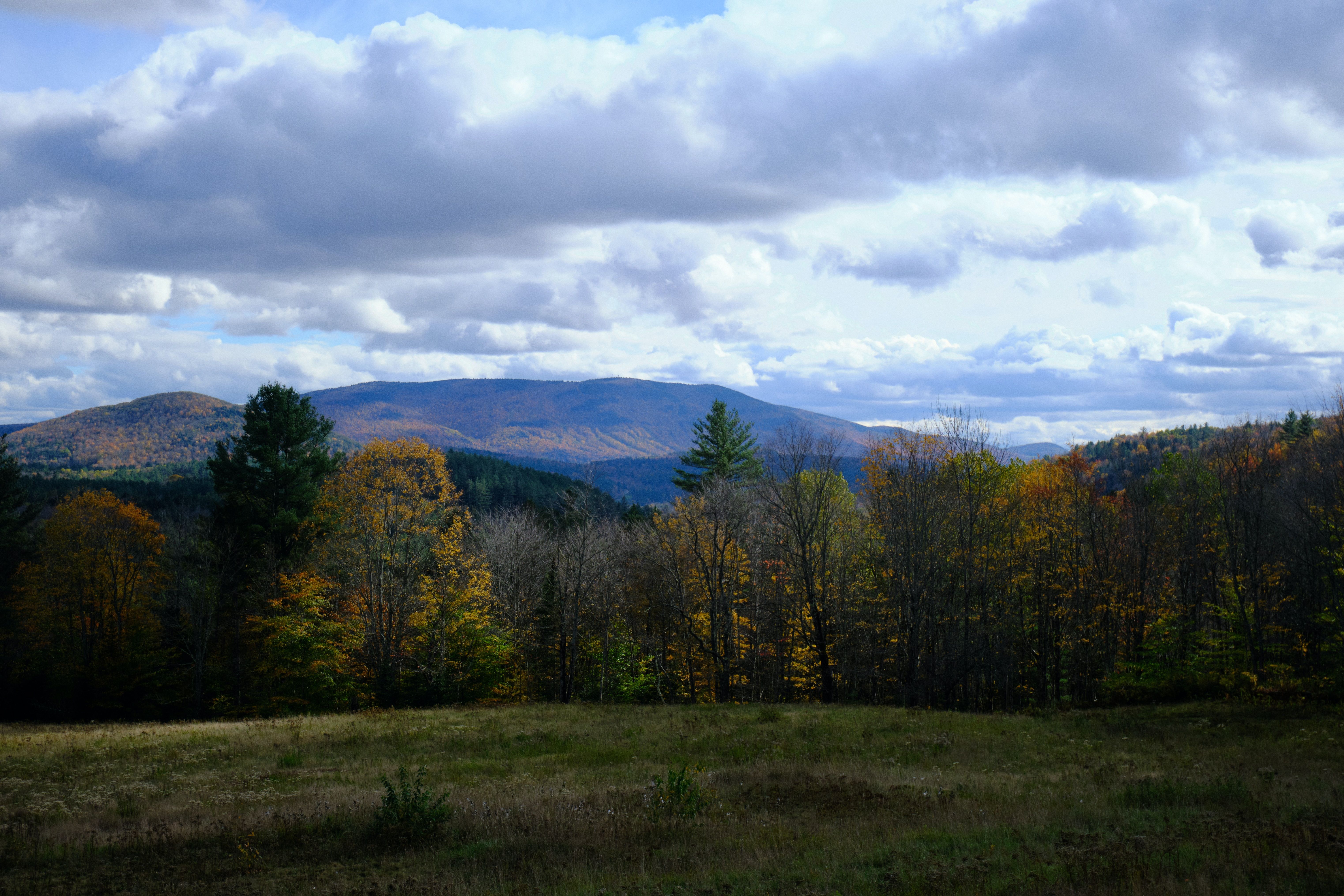 A view of a field starting to change into fall colors in Weston, Vermont 