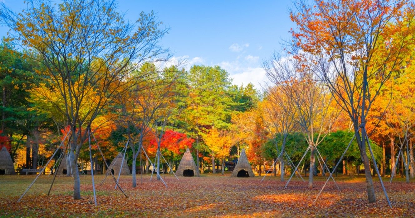 Autumn in Nami Island or Namiseom, Seoul, South Korea