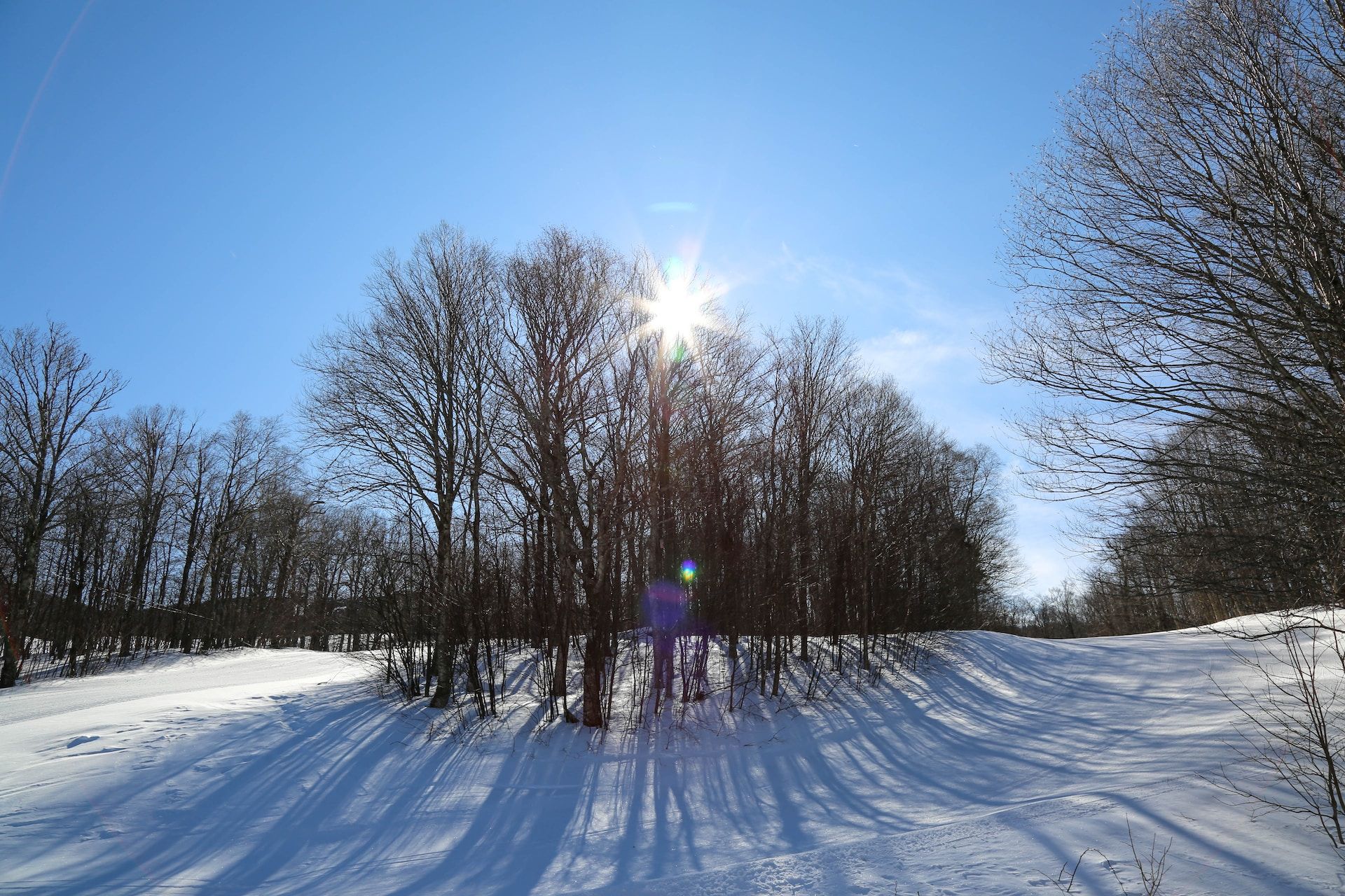 The 10 Best Vermont Ski Resorts You Should Book