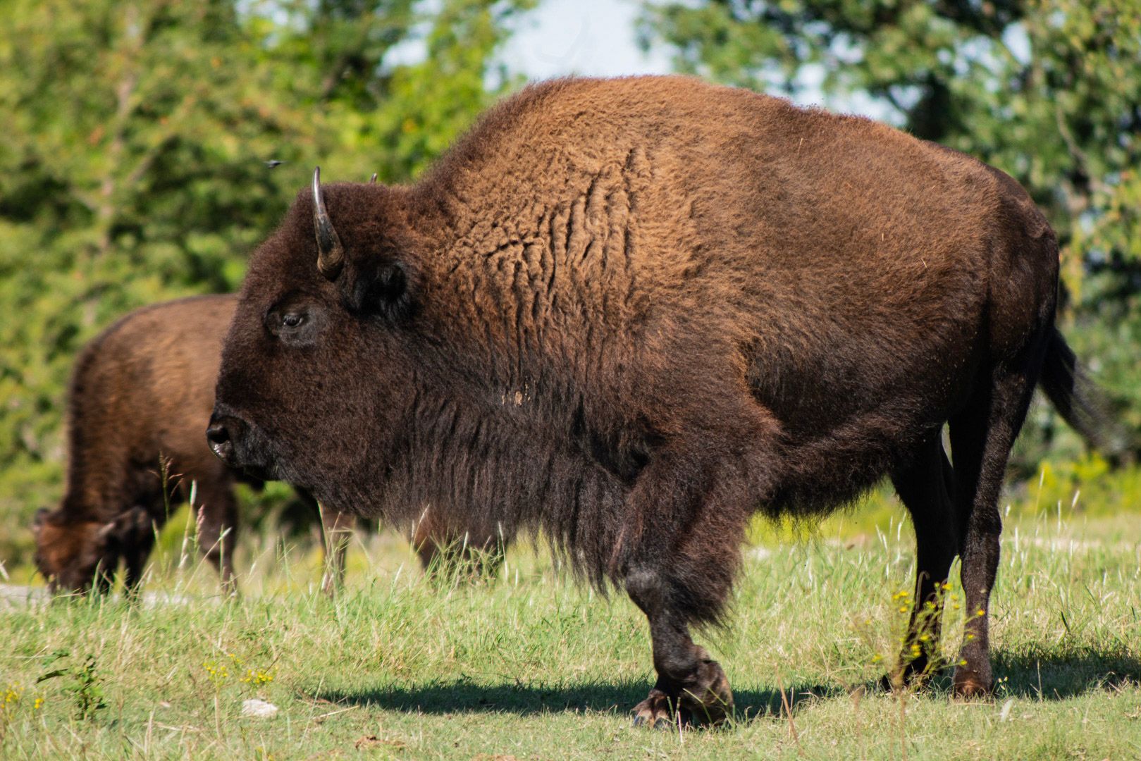 Road Trip Guide To Chickasaw Country, Oklahoma For A Deep Dive Into ...