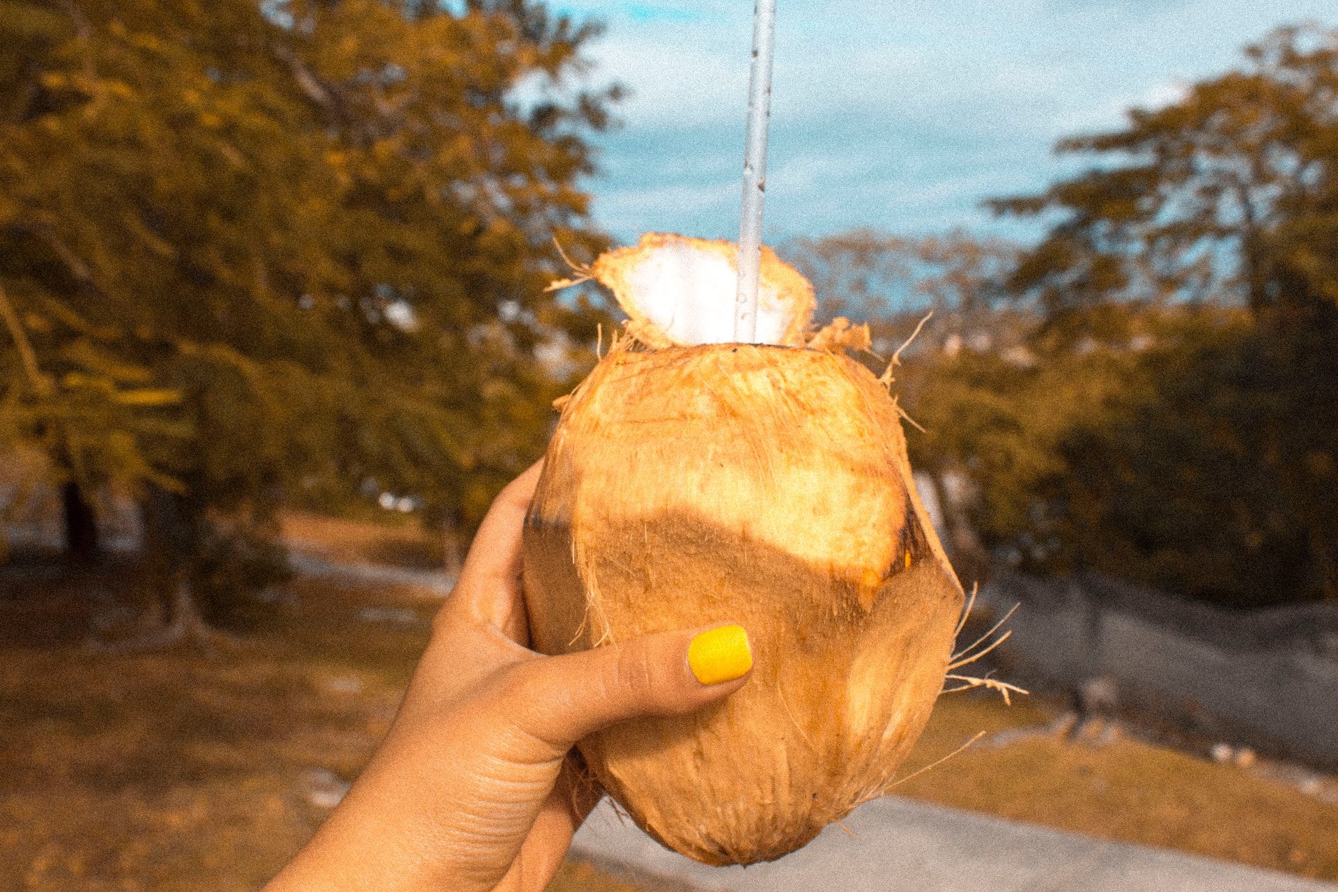 Indulge in fresh coconut in Nassau, Bahamas