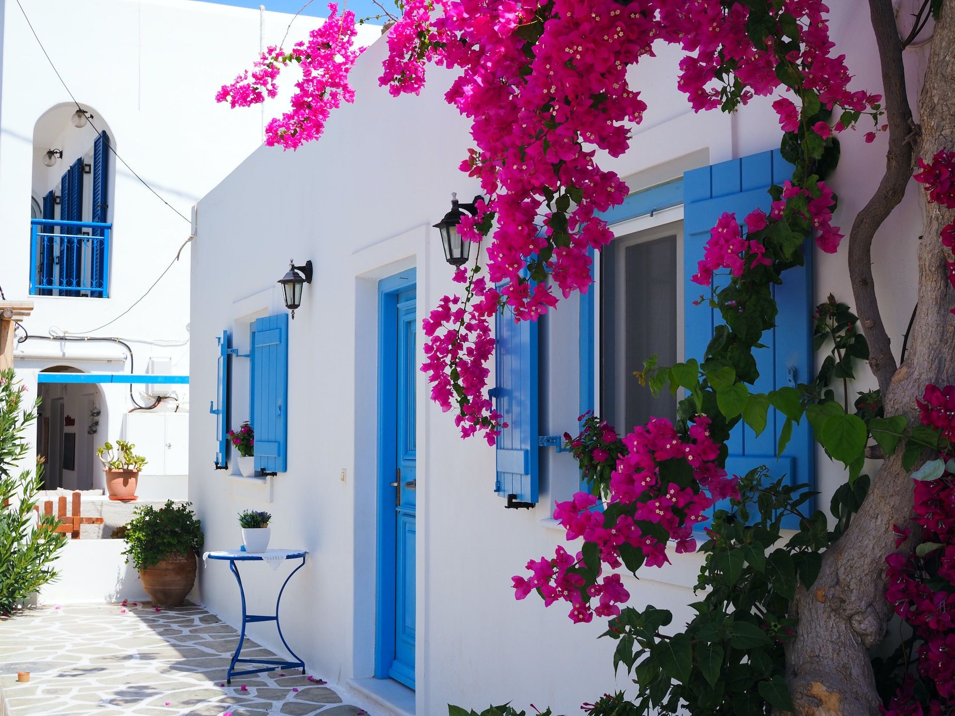 Flowers and blue doors in Greece