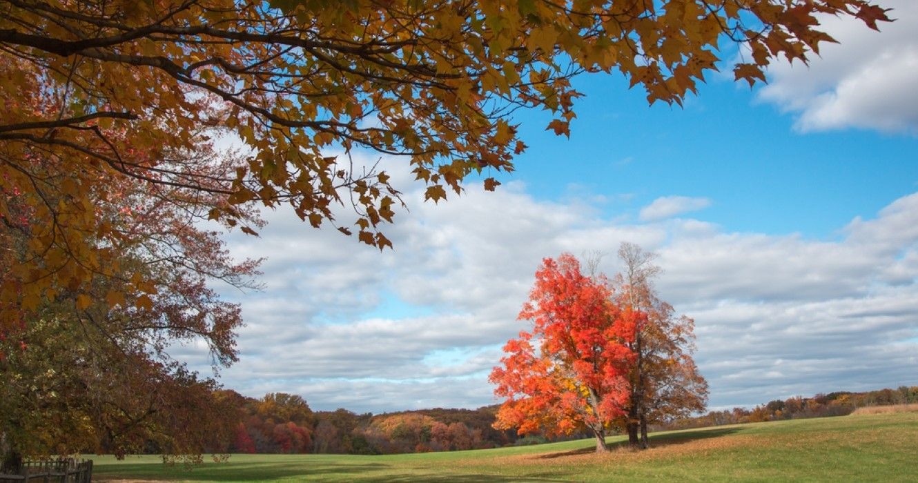 Fall foliage in rural Virginia