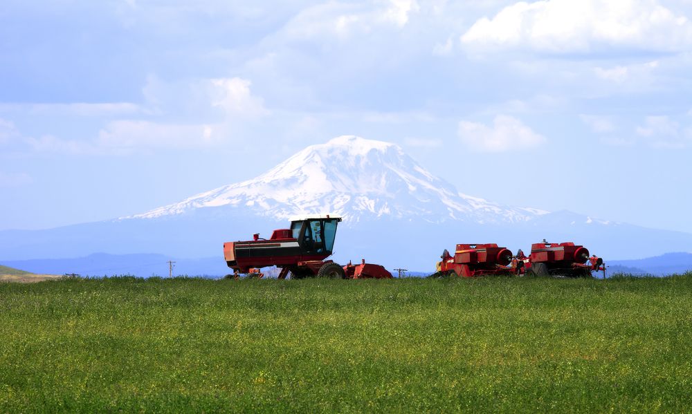 Farm machinery in a field & Mt. Adams